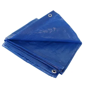 5' x 7' Blue Vinyl Tarp