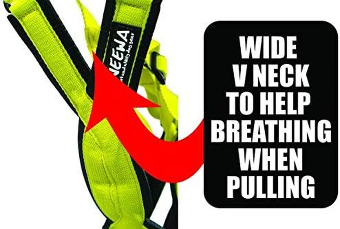 Adjustable Sled Pro Dog Harness