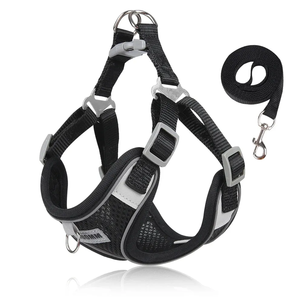 Adjustable Small Dog Harness & Leash Set - Comfortable, Breathable Fabric for Small Breeds