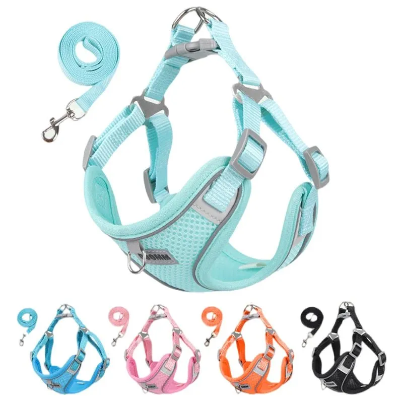 Adjustable Small Dog Harness & Leash Set - Comfortable, Breathable Fabric for Small Breeds