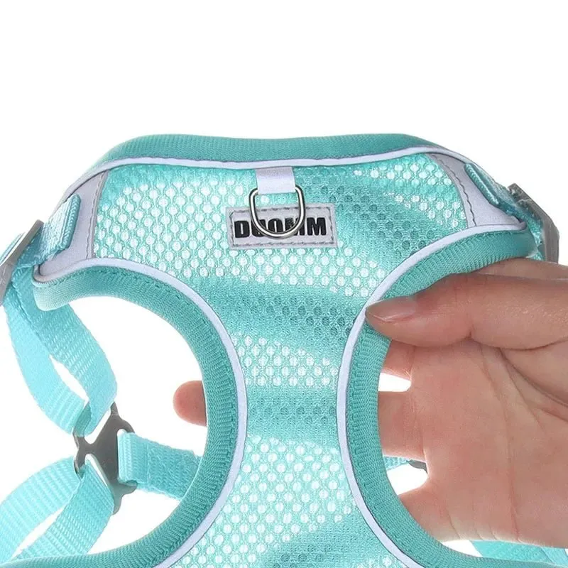 Adjustable Small Dog Harness & Leash Set - Comfortable, Breathable Fabric for Small Breeds