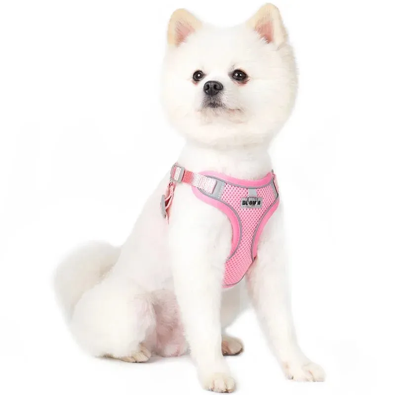 Adjustable Small Dog Harness & Leash Set - Comfortable, Breathable Fabric for Small Breeds