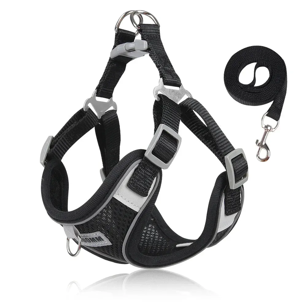 Adjustable Small Dog Harness & Leash Set - Comfortable, Breathable Fabric for Small Breeds