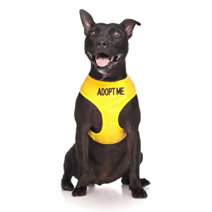Adopt Me Lead and Vest Harness