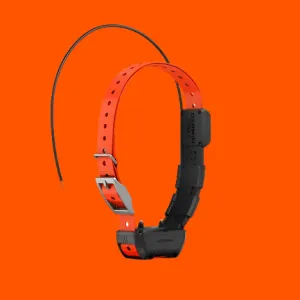 Alpha® TT 25 Dog Collar