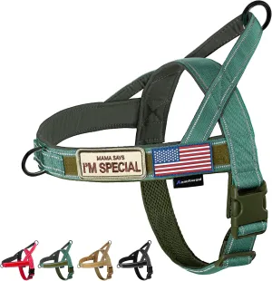 Annchwool No Pull Dog Harness with Soft Padded Handle,Reflective Strip Escape Proof and Quick Fit to Adjust Dog Harness,Easy for Training Walking for Small & Medium and Large Dogs(Green,XL)