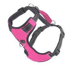 Baydog Chesapeake Harness