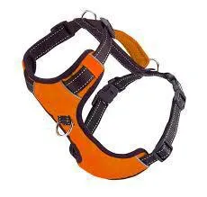 Baydog Chesapeake Harness