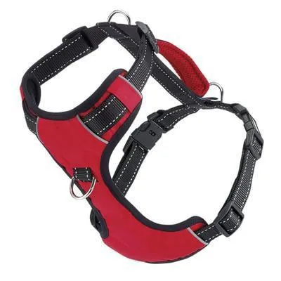 Baydog Chesapeake Harness
