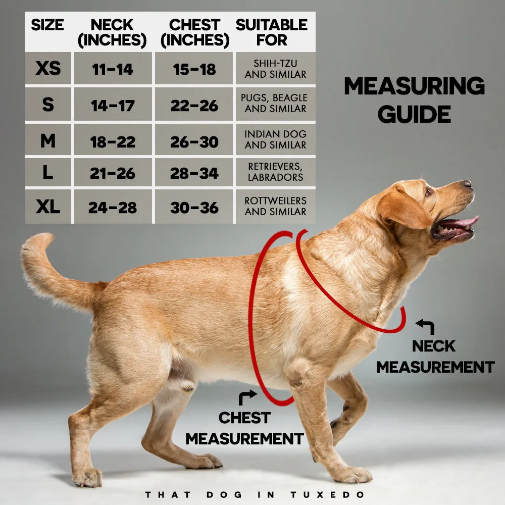 Beach Vibes Dog Body Mesh Harness