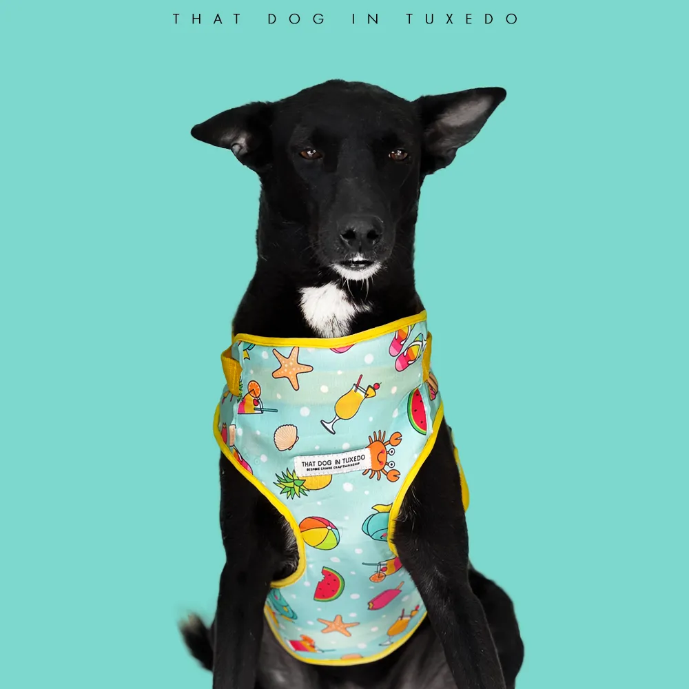 Beach Vibes Dog Body Mesh Harness
