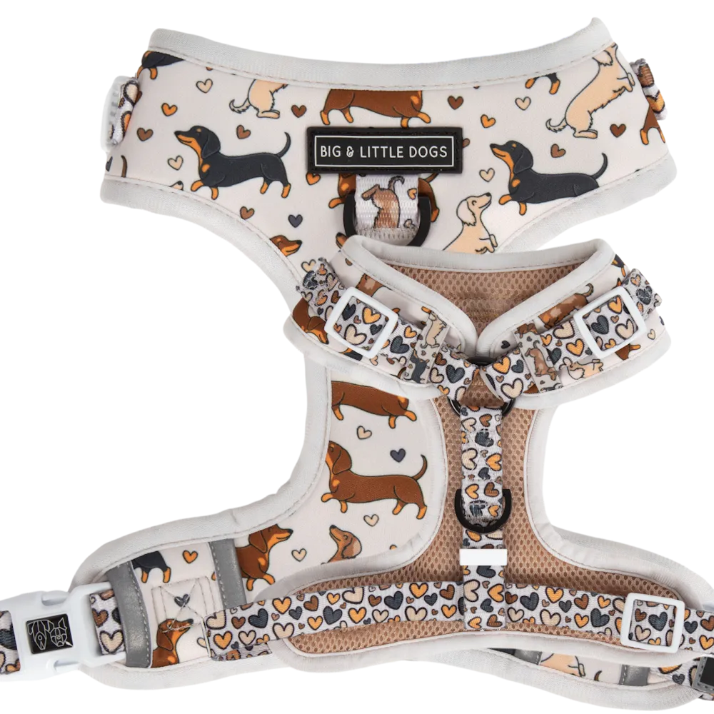 Big & Little Dogs Dashie Lovers Adjustable Harness