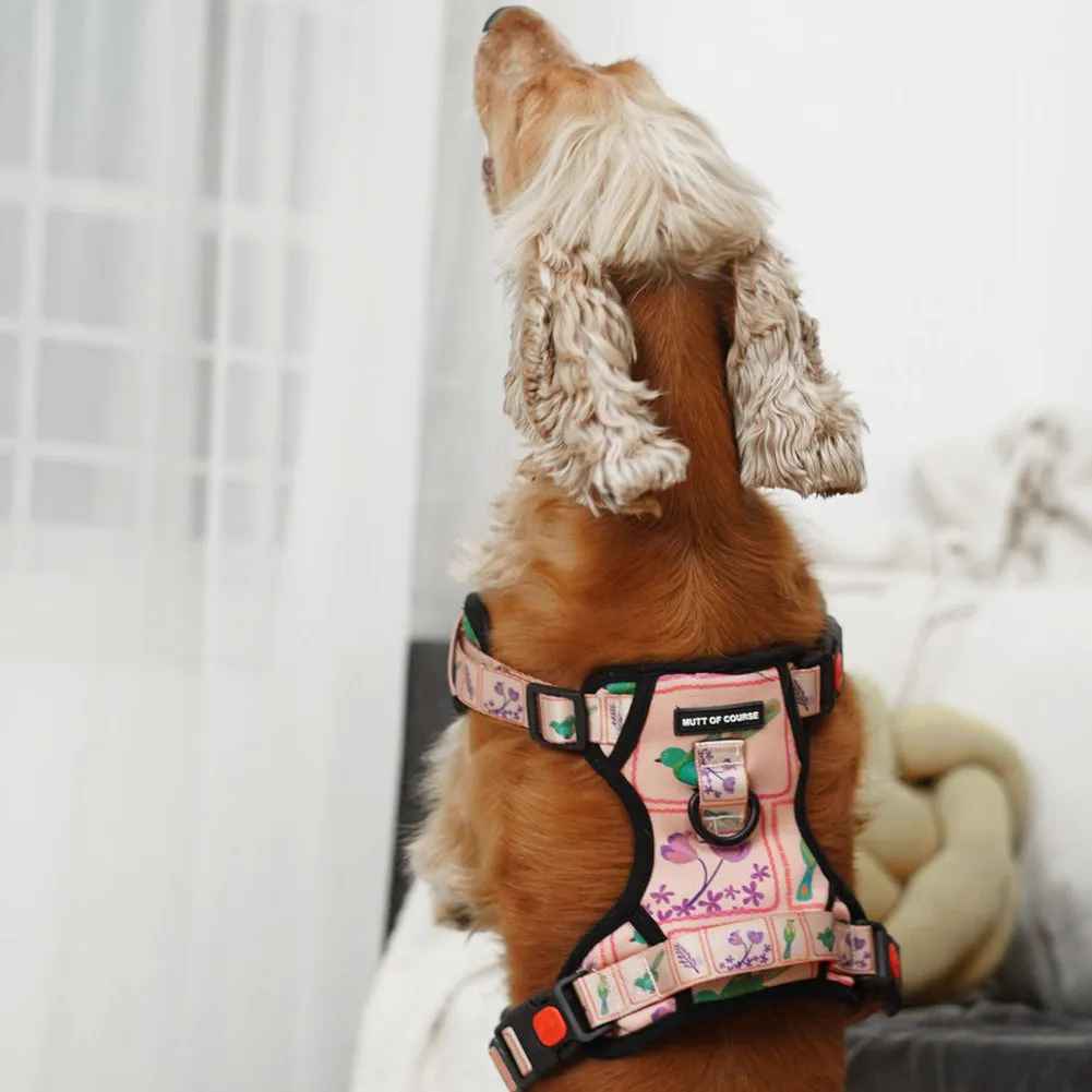 Birdie Ruff N' Tuff Harness For Dogs