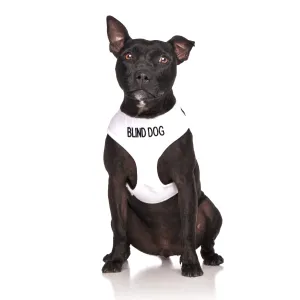 Blind Dog Lead and Vest Harness