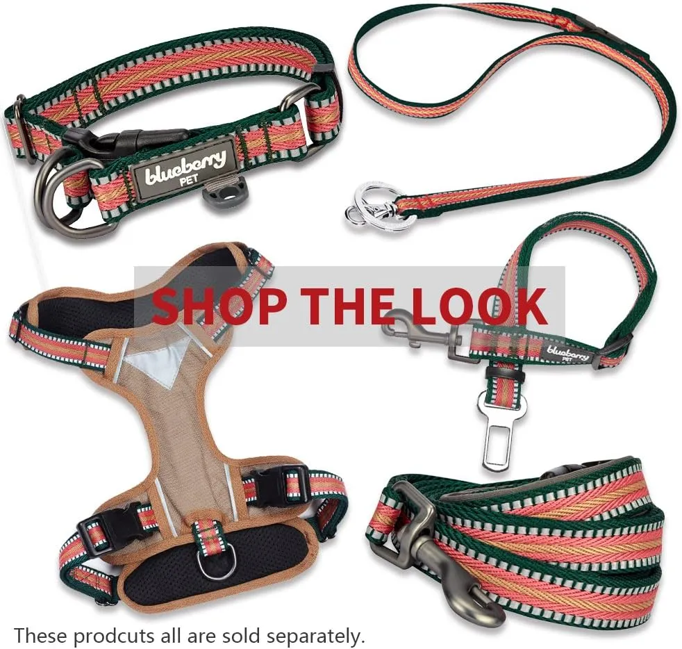 Blueberry Pet Soft & Comfy 3M Reflective Dog Harness Vest | Mesh Padded No Pull Dog Harness w/Back Clips | Multi-Colored Stripe - Dark Green and Pink | Reflective Dog Harness for Large Dogs