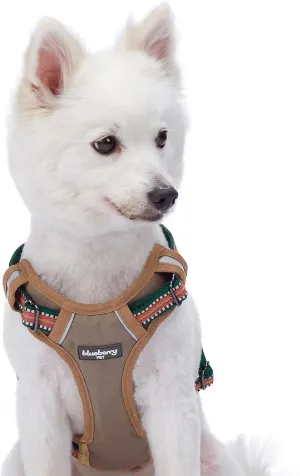 Blueberry Pet Soft & Comfy 3M Reflective Dog Harness Vest | Mesh Padded No Pull Dog Harness w/Back Clips | Multi-Colored Stripe - Dark Green and Pink | Reflective Dog Harness for Large Dogs
