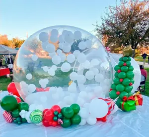 Bubble House Inflatable PVC Bubble Tent, Commercial 10FT Bubble with UL Blower & Pump for Kids/Adults, Party, Gender Reveal, 10FT Dia Bubble, 6FT Tunnel