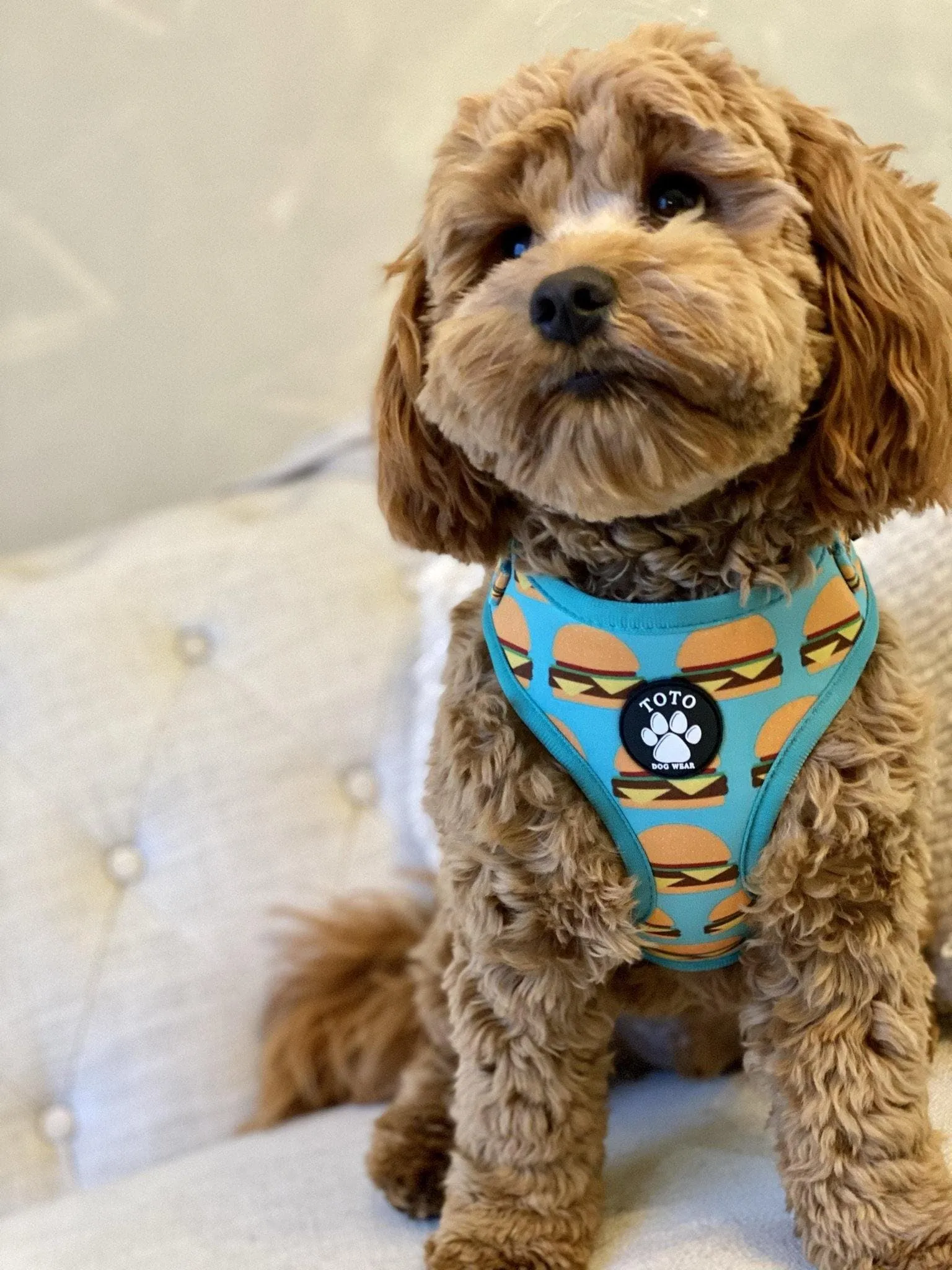 Burger Harness