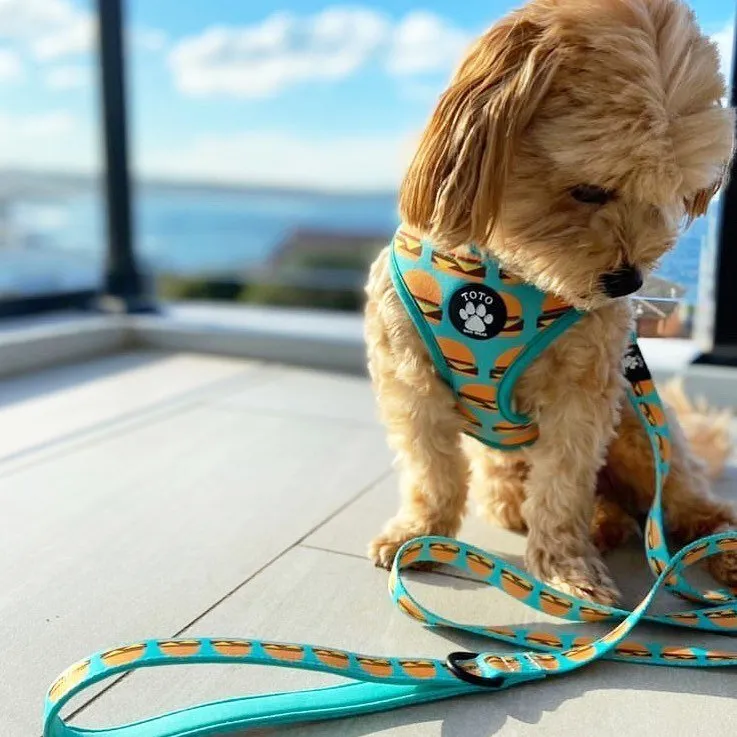 Burger Harness