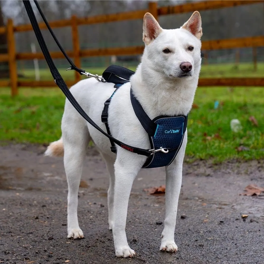 CarSafe Crash Tested Dog Safety Harness - Crash Tested to 32Kg/70lbs, Safely Secure Dog in The Car, Comfortable and Padded Design. for Toy, Small, Medium and Large Dogs (Size Medium)