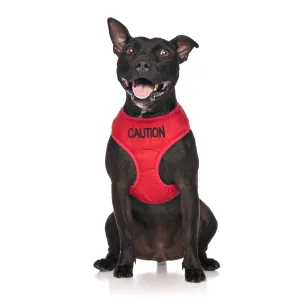 Caution Dog Lead and Vest Harness