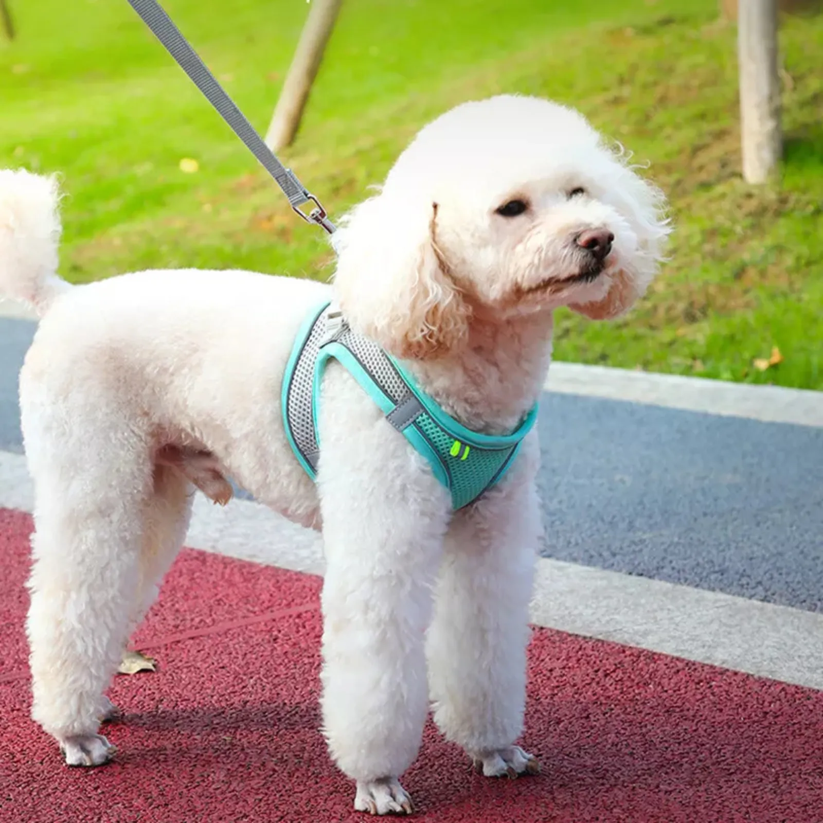 Collars Strap Cat Leash Pet Dog Harness Adjustable Reflective Mint Green (M)