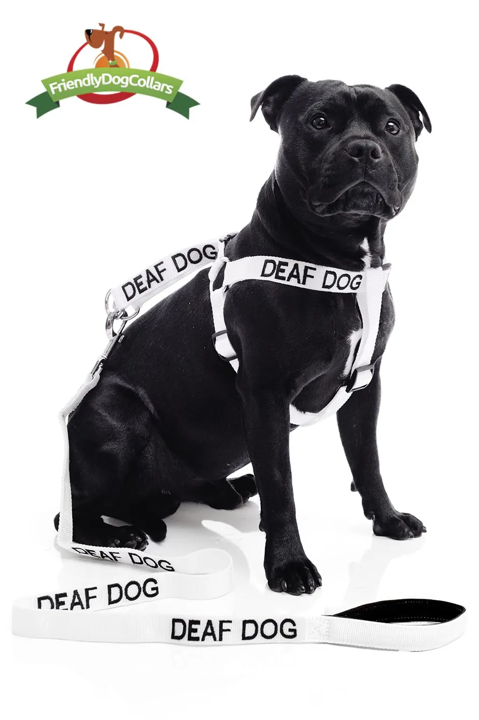 Deaf Dog Lead and Strap Harness