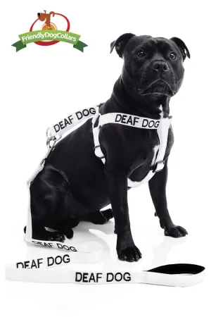 Deaf Dog Lead and Strap Harness