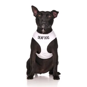Deaf Dog Lead and Vest Harness