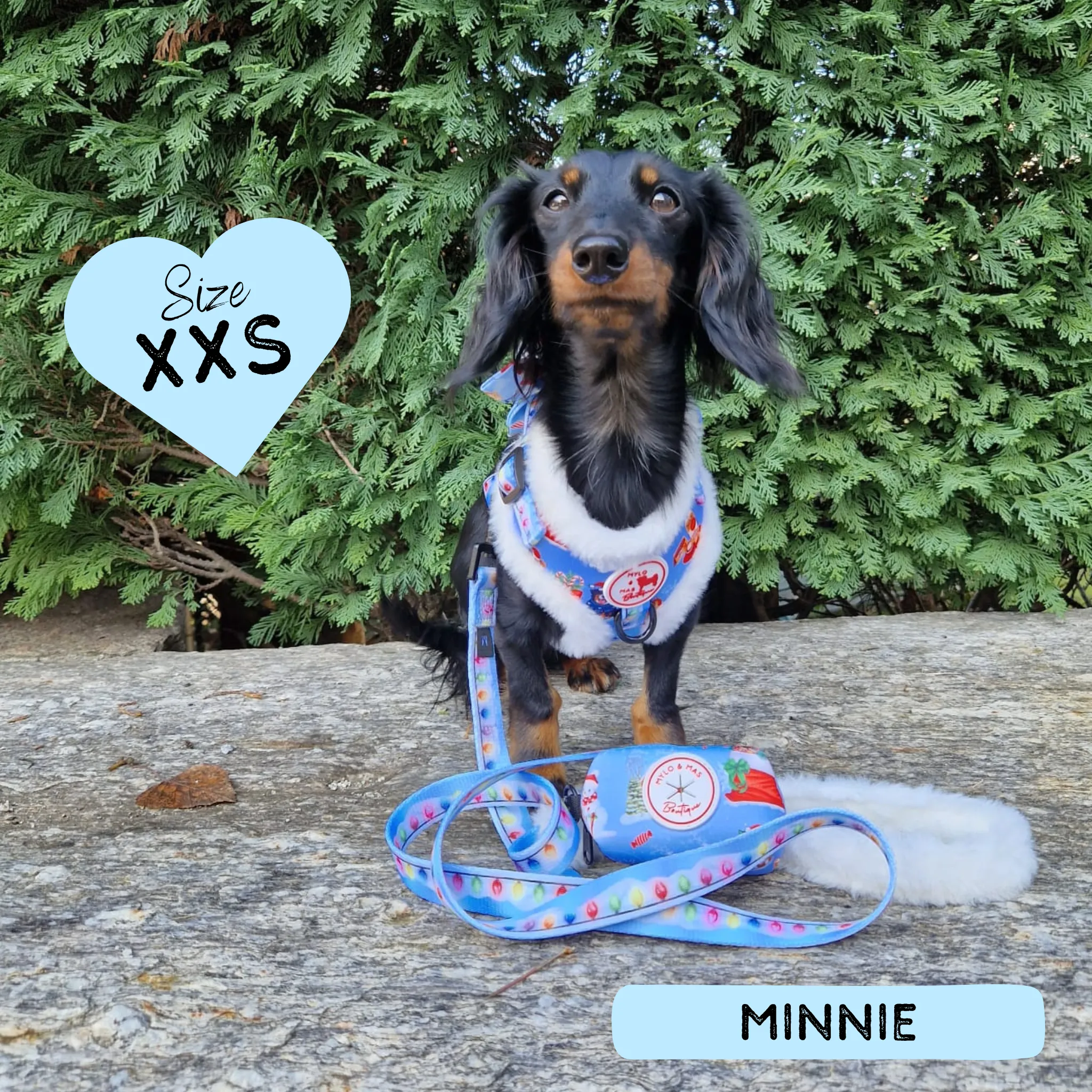 Dog Adjustable Harness - Furry Lights