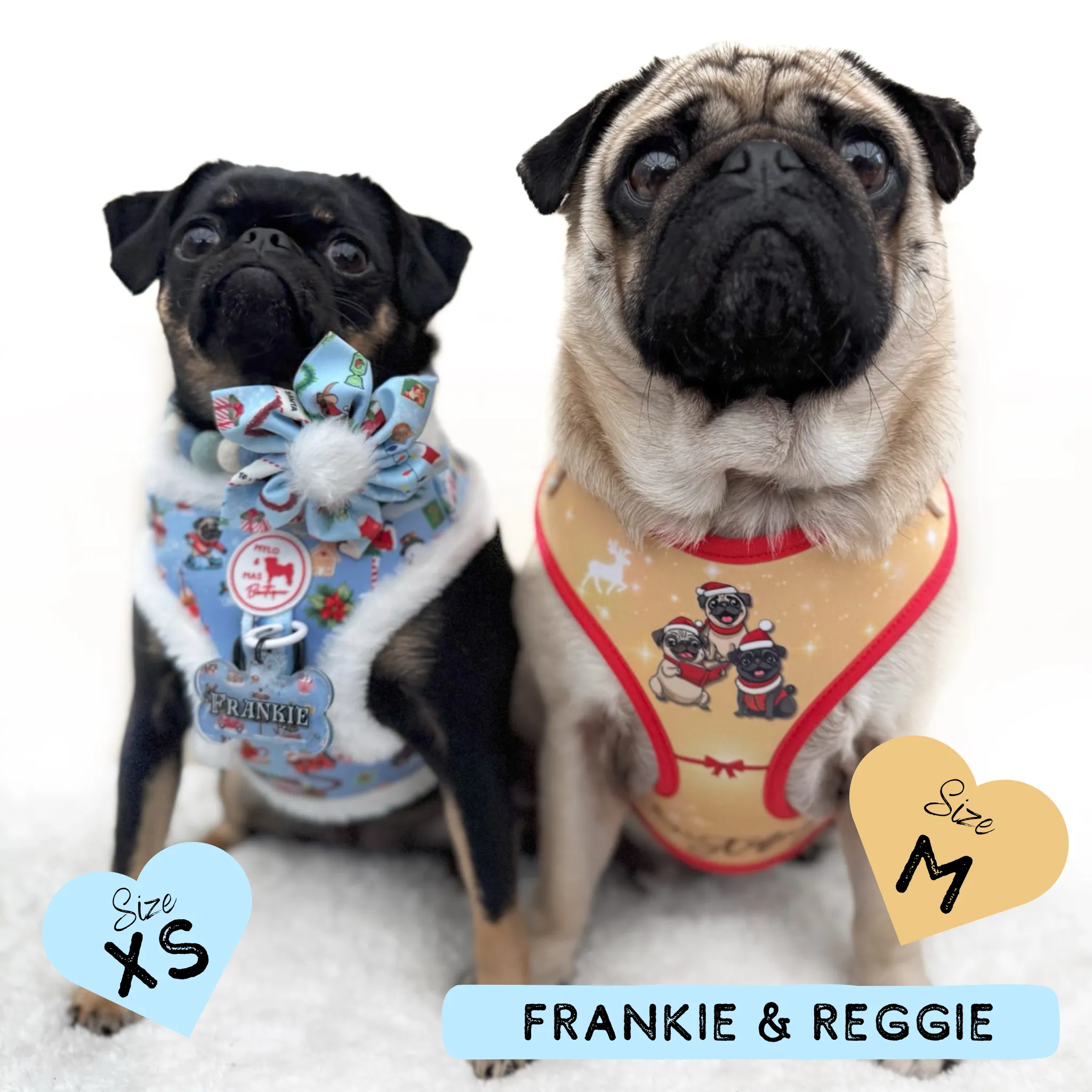 Dog Adjustable Harness - Furry Lights