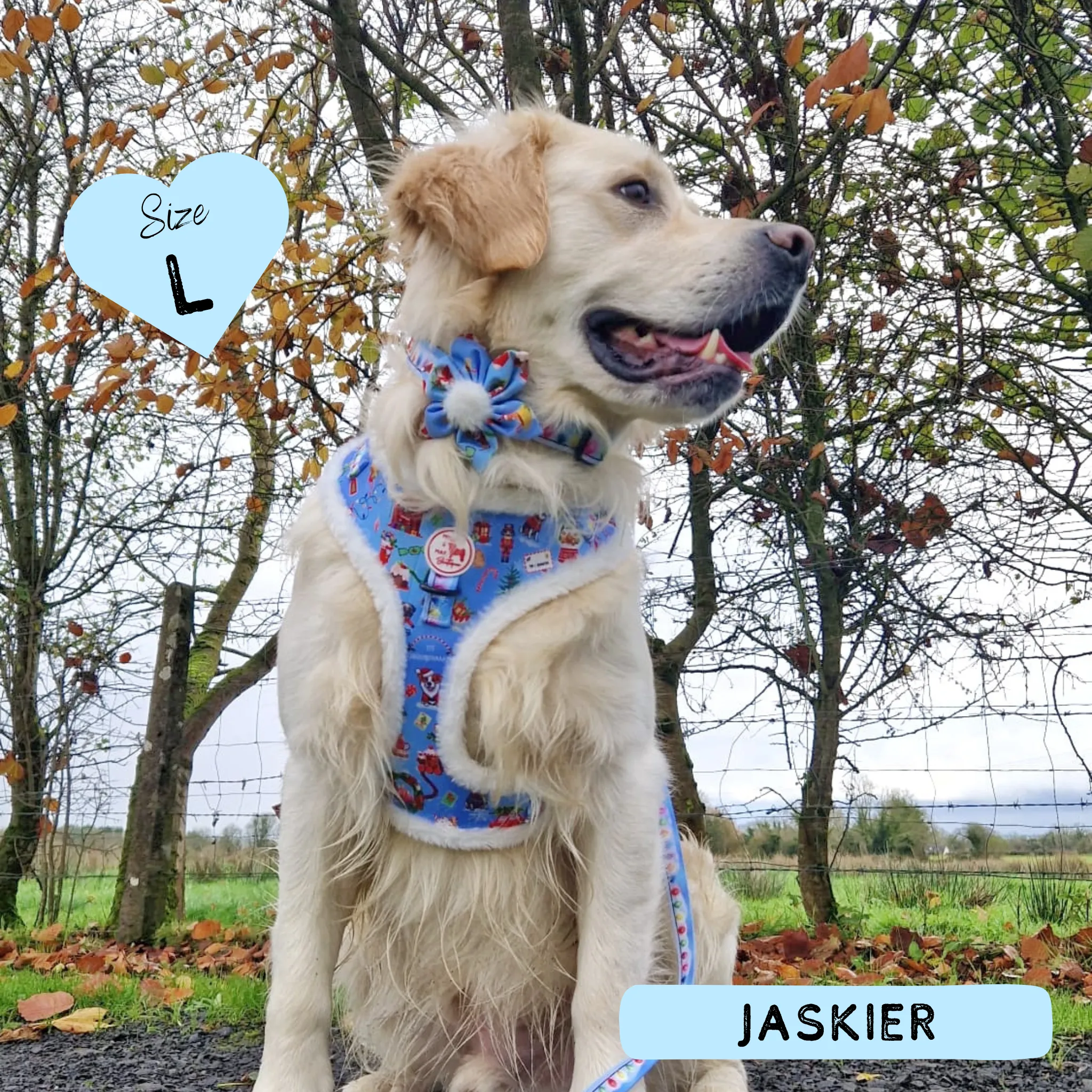 Dog Adjustable Harness - Furry Lights