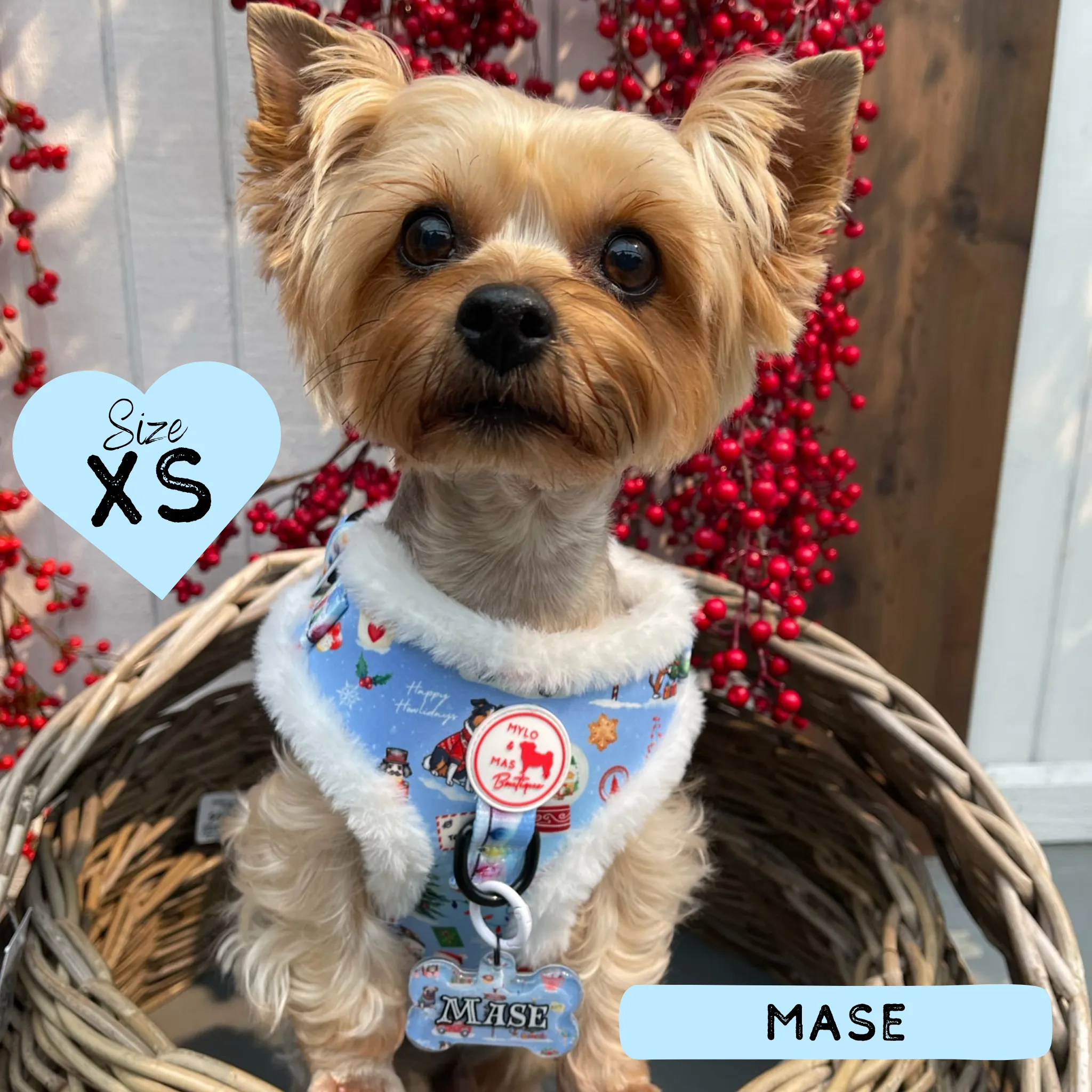Dog Adjustable Harness - Furry Lights