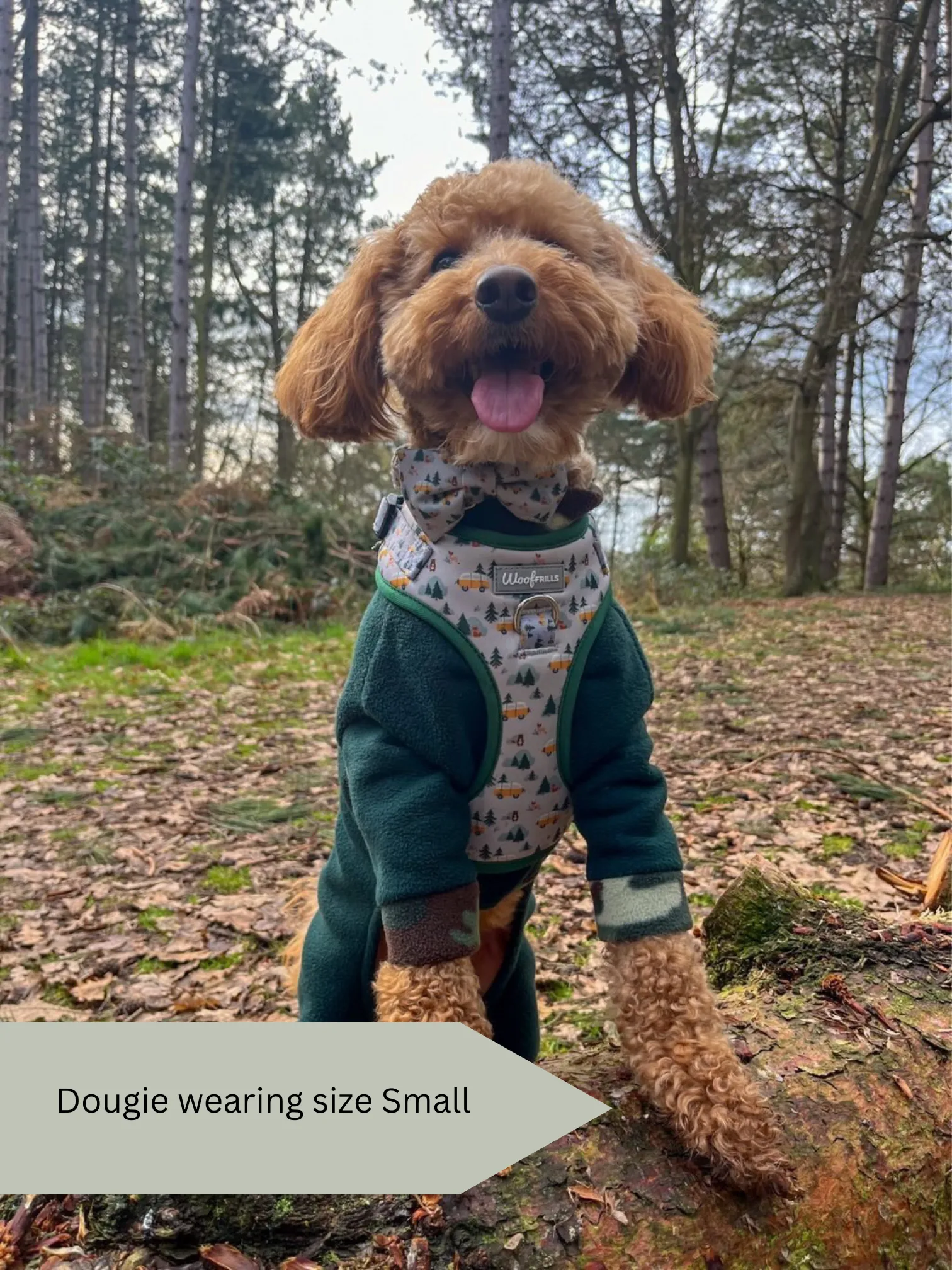 Dog harness, Dog collar and lead set | BUNDLE OF YOUR CHOICE | Hey Ho Let’s Go
