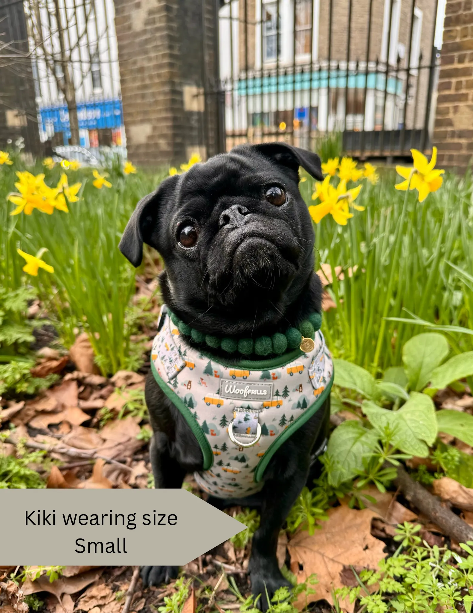 Dog harness, Dog collar and lead set | BUNDLE OF YOUR CHOICE | Hey Ho Let’s Go