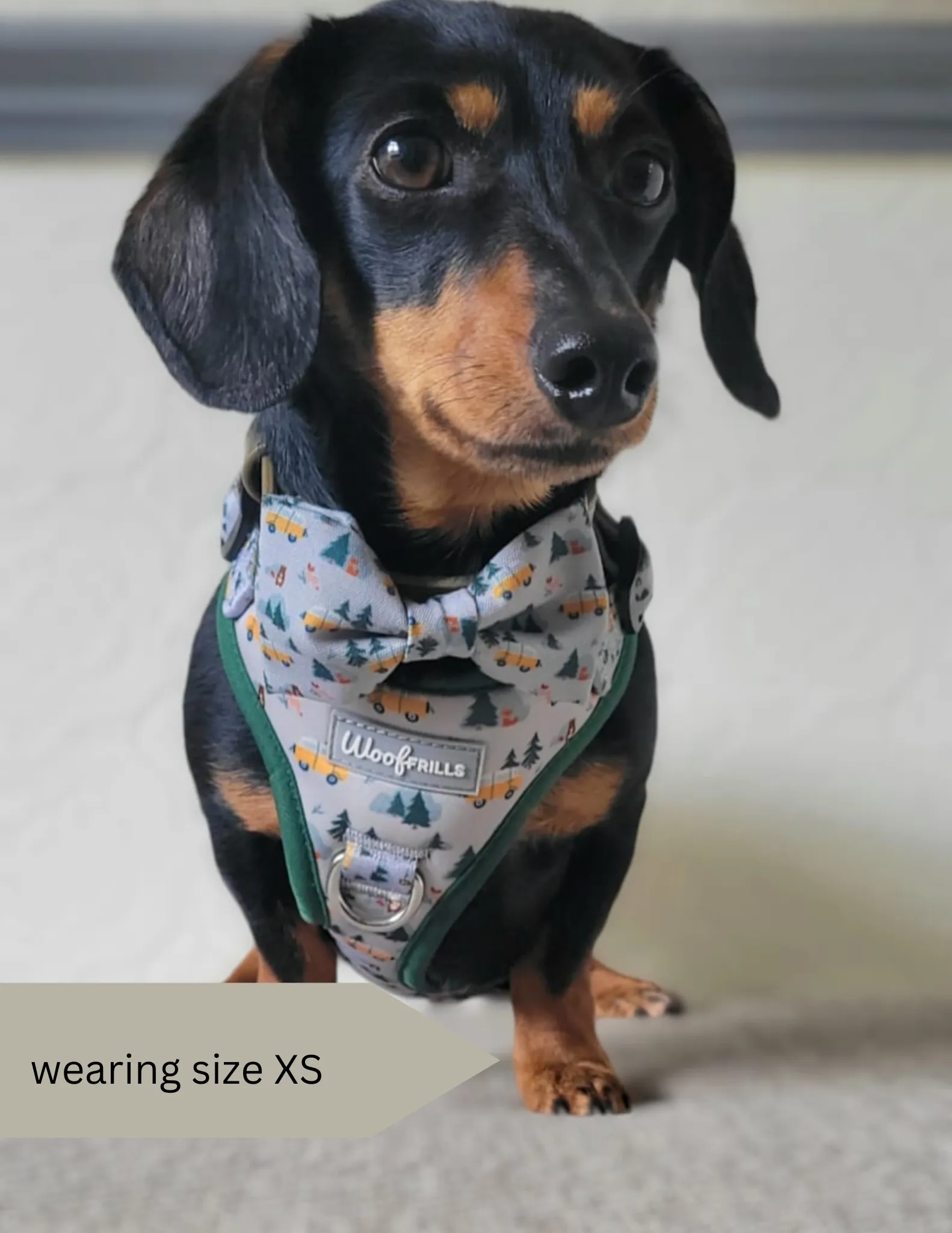 Dog harness, Dog collar and lead set | BUNDLE OF YOUR CHOICE | Hey Ho Let’s Go