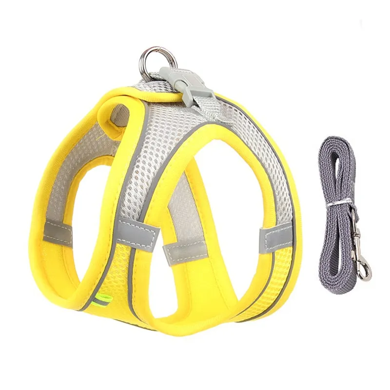 Dog Harness Leash Set for Small Dogs Adjustable Puppy
