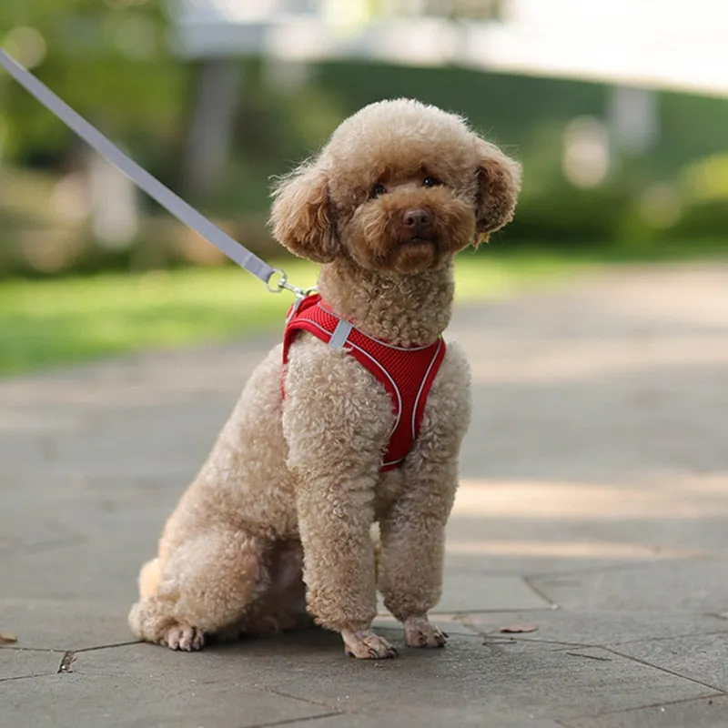 Dog Harness Leash Set for Small Dogs Adjustable Puppy