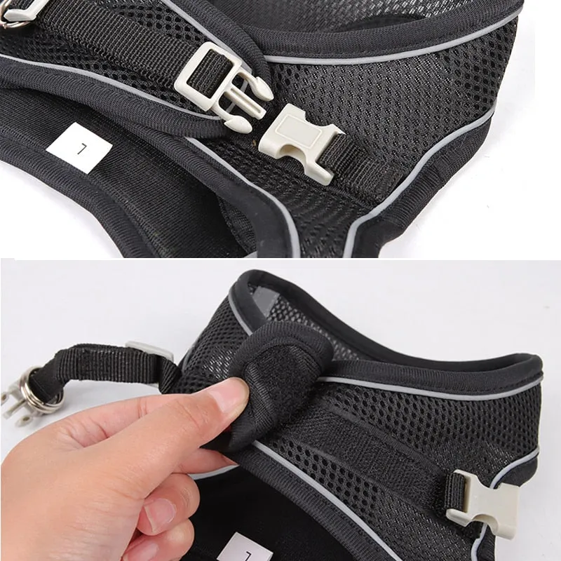 Dog Harness Leash Set for Small Dogs Adjustable Puppy