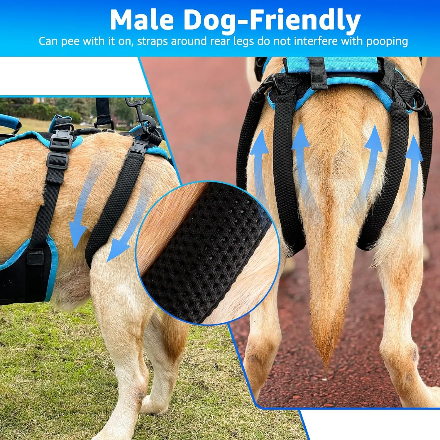 Dog Lift Harness for Large Male Dogs 2-in-1 Help Em Up Harness, Male-Friendly, Back Leg Support & Mobility Assistance, Black, Large