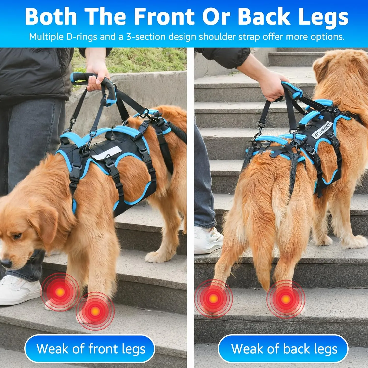 Dog Lift Harness for Large Male Dogs 2-in-1 Help Em Up Harness, Male-Friendly, Back Leg Support & Mobility Assistance, Black, Large