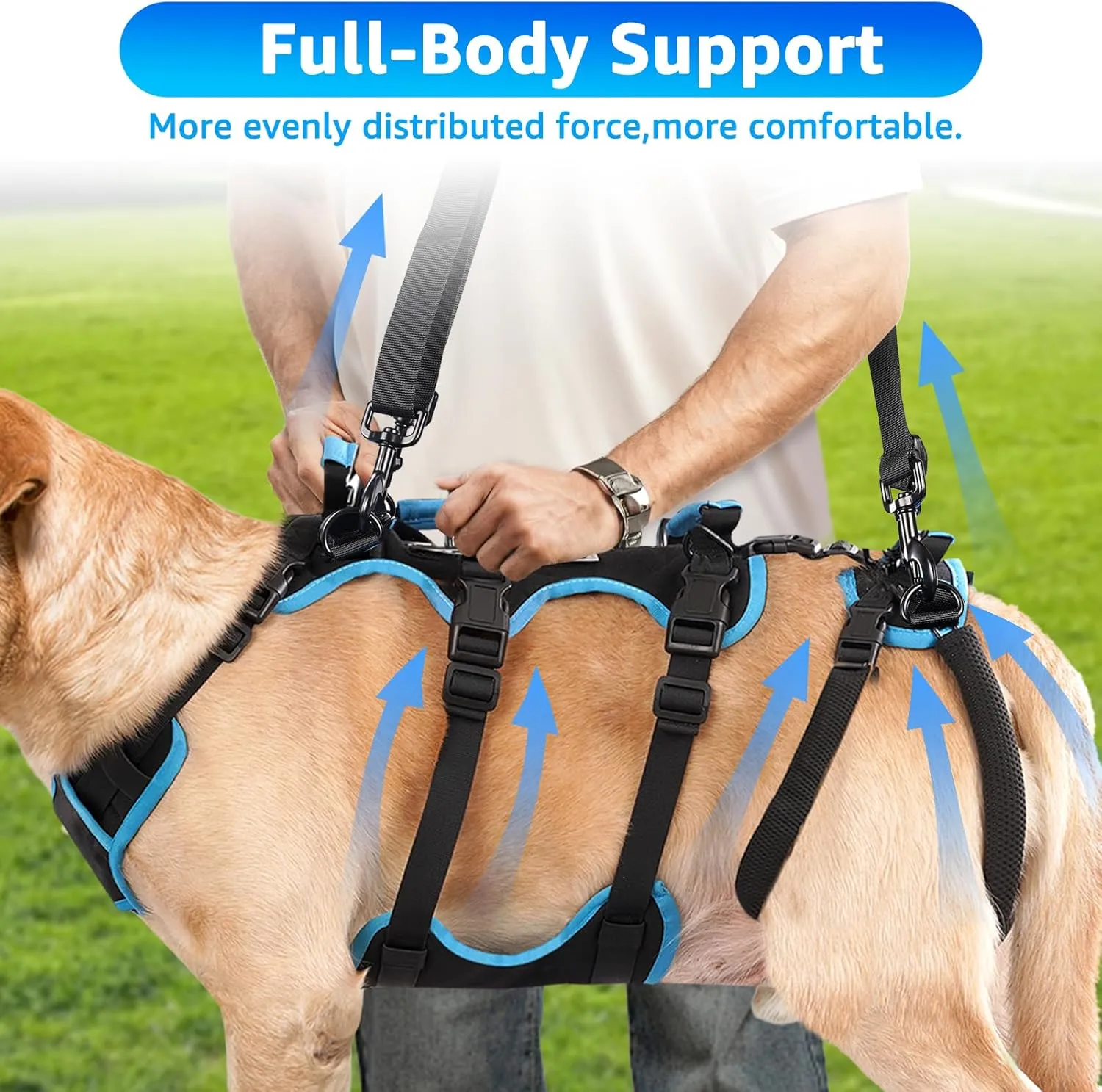 Dog Lift Harness for Large Male Dogs 2-in-1 Help Em Up Harness, Male-Friendly, Back Leg Support & Mobility Assistance, Black, Large