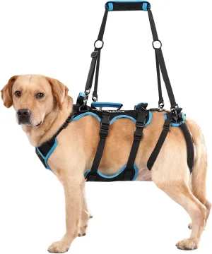 Dog Lift Harness for Large Male Dogs 2-in-1 Help Em Up Harness, Male-Friendly, Back Leg Support & Mobility Assistance, Black, Large