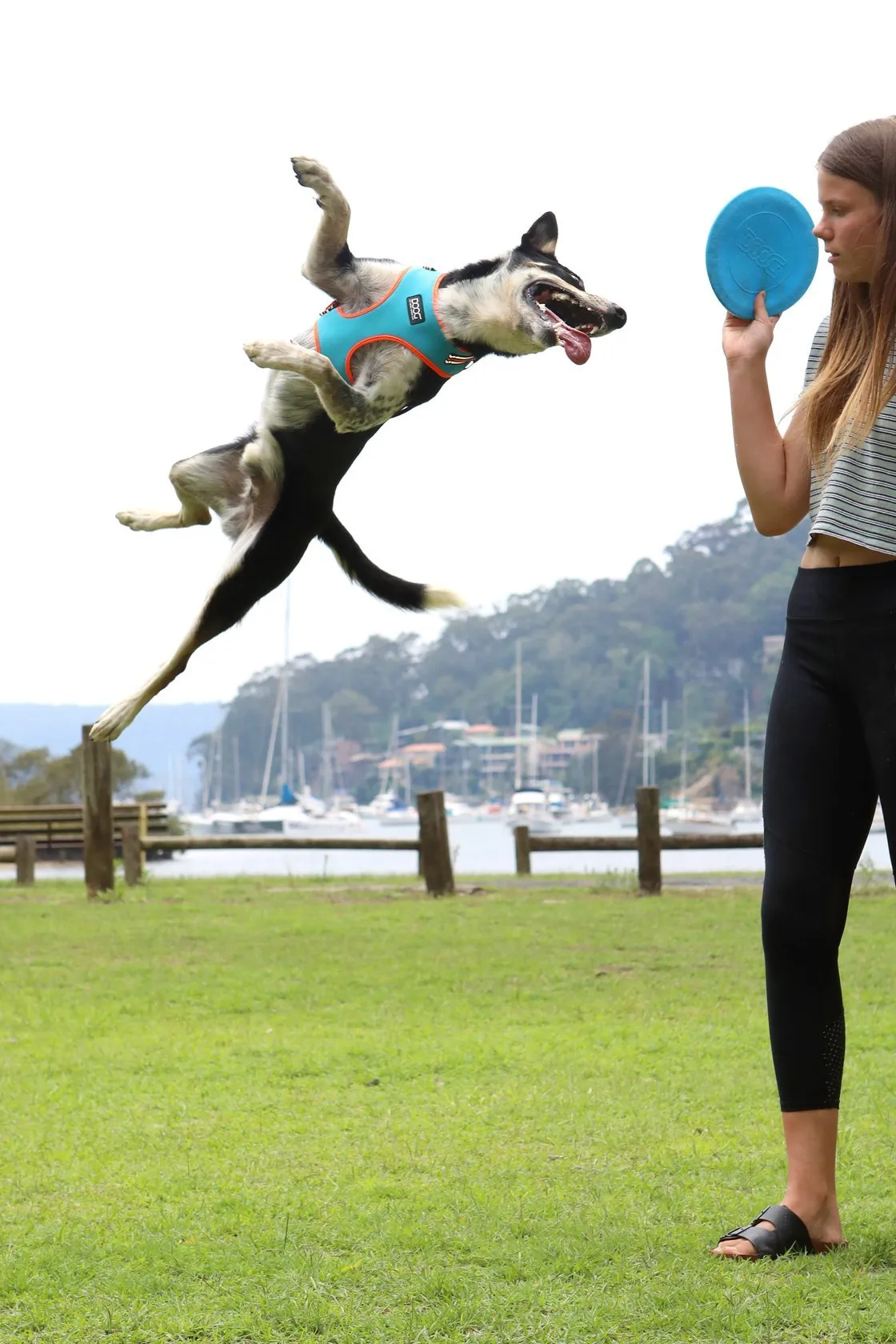 DOOG Neoflex Soft Harness - Neon