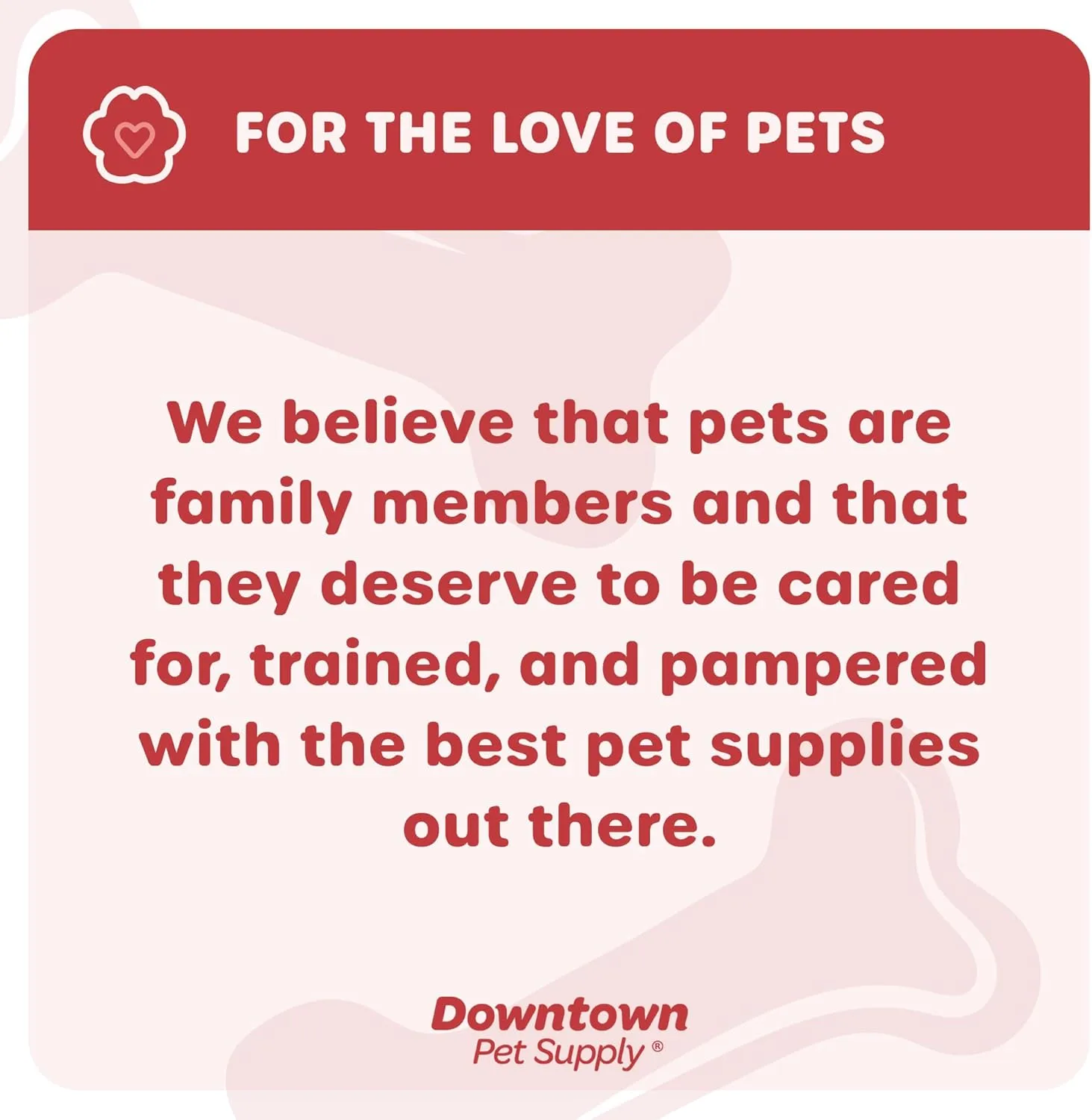 Downtown Pet Supply Step in Dog Harness for Small Dogs No Pull, X-Small, Black w/Pink Trim - Adjustable Harness with Padded Mesh Fabric and Reflective Trim - Buckle Strap Harness for Dogs