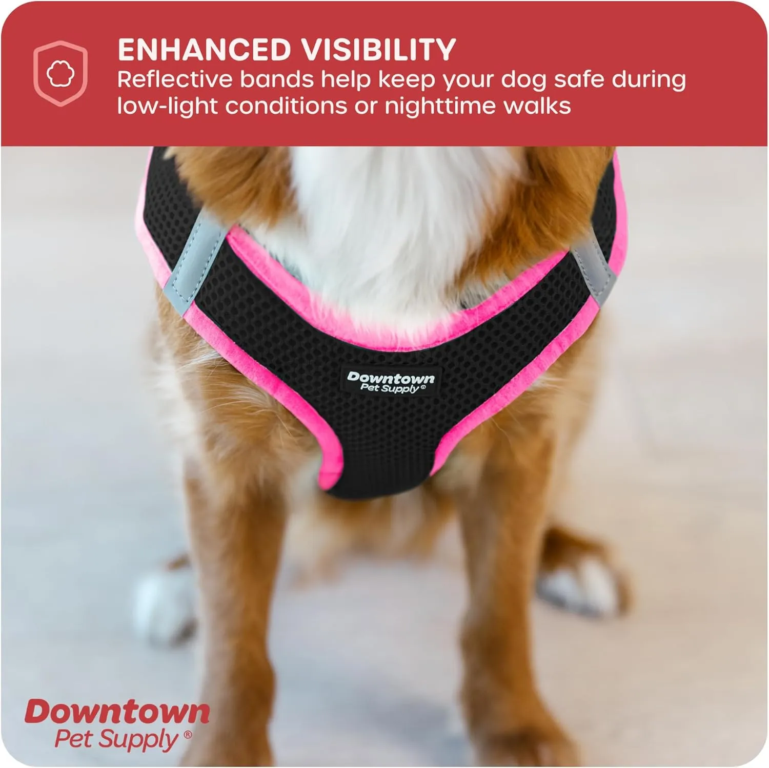 Downtown Pet Supply Step in Dog Harness for Small Dogs No Pull, X-Small, Black w/Pink Trim - Adjustable Harness with Padded Mesh Fabric and Reflective Trim - Buckle Strap Harness for Dogs
