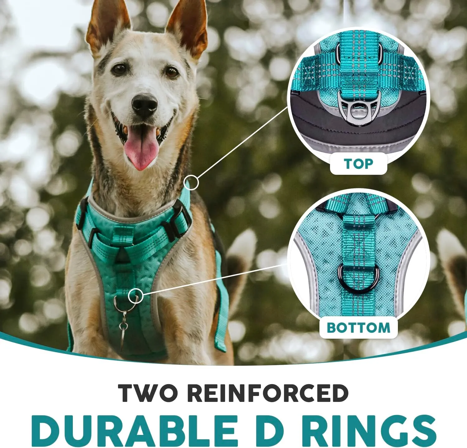 Embark Sports Dog Harness, Dog Harness for Small Medium Large Dogs No Pull with Light and Breathable Design - Handle for Control. Easy On and Off, Size Adjustable, Non Choke. Teal Vest