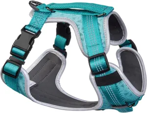 Embark Sports Dog Harness, Dog Harness for Small Medium Large Dogs No Pull with Light and Breathable Design - Handle for Control. Easy On and Off, Size Adjustable, Non Choke. Teal Vest