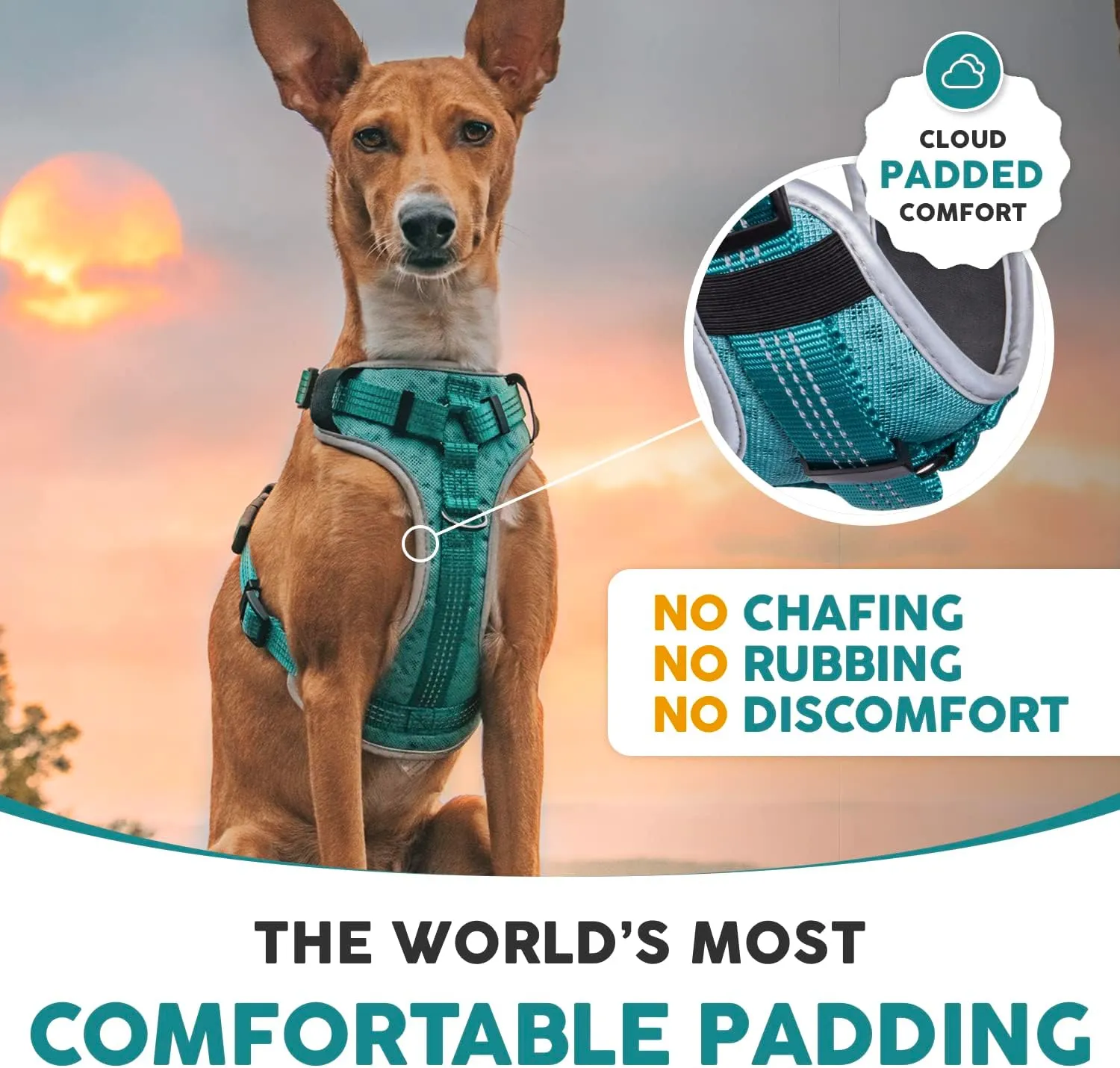 Embark Sports Dog Harness, Dog Harness for Small Medium Large Dogs No Pull with Light and Breathable Design - Handle for Control. Easy On and Off, Size Adjustable, Non Choke. Teal Vest