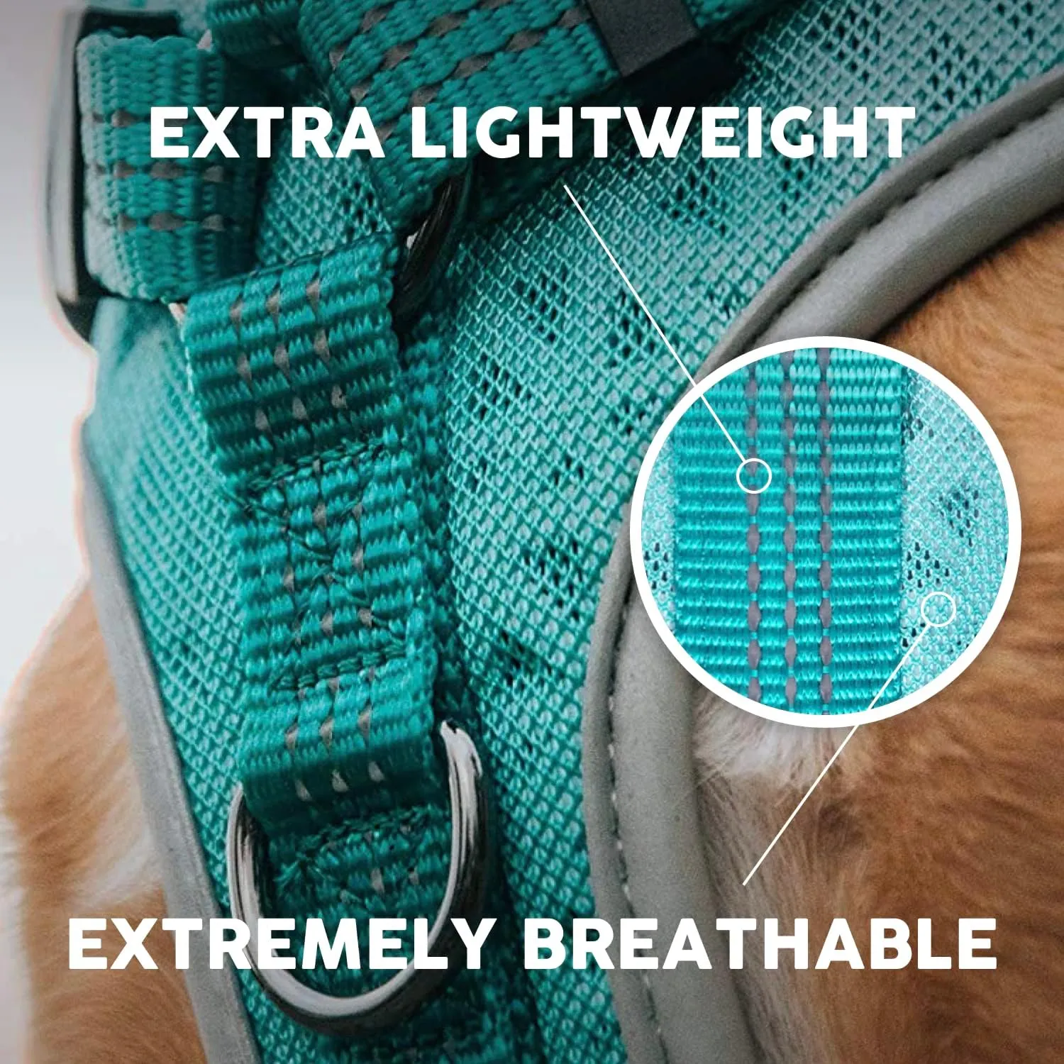 Embark Sports Dog Harness, Dog Harness for Small Medium Large Dogs No Pull with Light and Breathable Design - Handle for Control. Easy On and Off, Size Adjustable, Non Choke. Teal Vest